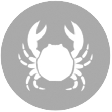 Crustaceos