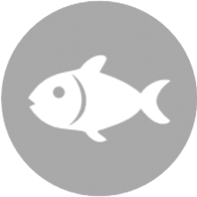 Pescado