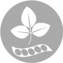 Soja